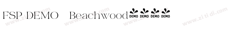 FSP DEMO   Beachwood字体转换